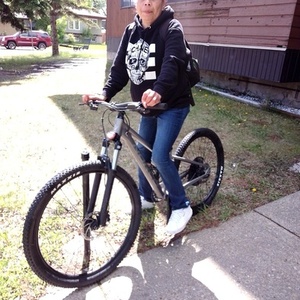 2024 Norco Bikes Norco storm Silver, gray or bare metal