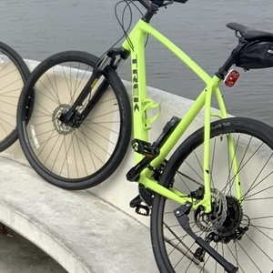 2020 Trek DUAL SPORT 3 XL Green