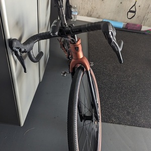 2024 Trek Checkpoint SL 5 49 Matte Pennyflake Orange