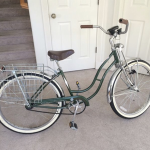 1989 Schwinn Cruiser Green