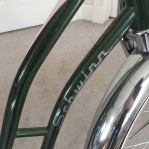 1989 Schwinn Cruiser Green