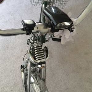 1989 Schwinn Cruiser Green