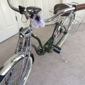 1989 Schwinn Cruiser Green