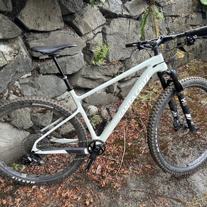 2019 Santa Cruz Highball Silver, gray or bare metal