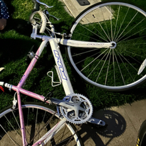 2010 Fuji Finest 1.0 White and Pink