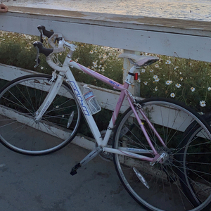 2010 Fuji Finest 1.0 White and Pink