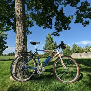 1989 Specialized Rockhopper White and Blue