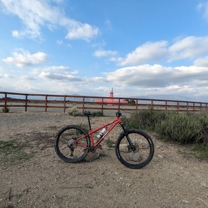 2021 Kona Honzo ESD Red