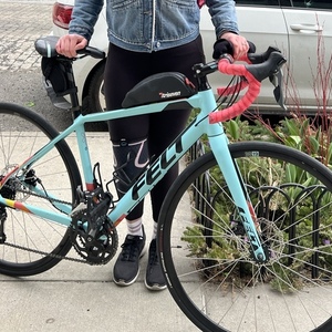 2017 Felt VR60w Blue