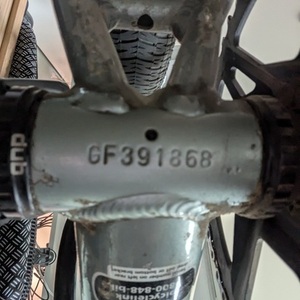 2003 Giant Rincon Silver, gray or bare metal