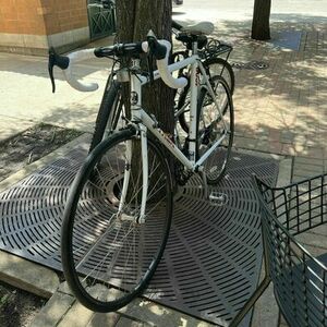 Trek 1000 White and Red