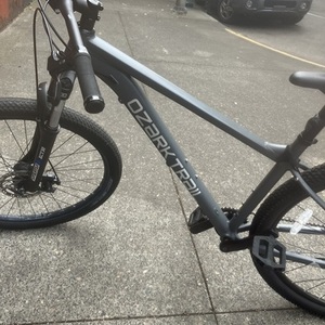 2024 SR Suntour Ozark trail Silver, gray or bare metal