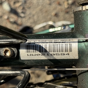 Trek 520 Green