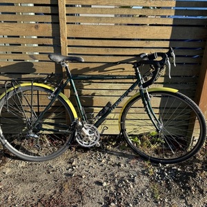 Trek 520 Green