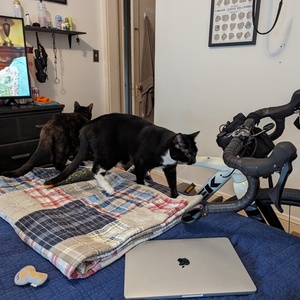 2023 Trek Checkpoint ALR 5 White