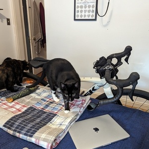 2023 Trek Checkpoint ALR 5 White