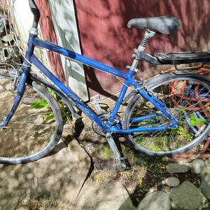 Giant Cypress ST Blue