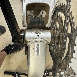 Giant Trance X0 Silver, gray or bare metal