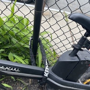 Changzhou Haoling Vehicle Co.Ltd Seagull 20 inch City E-bike Black