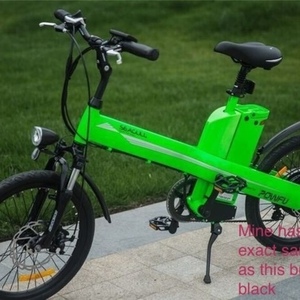 Changzhou Haoling Vehicle Co.Ltd Seagull 20 inch City E-bike Black