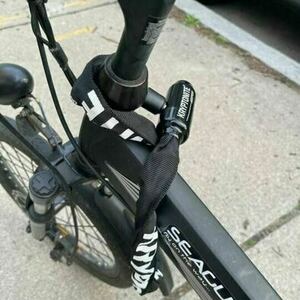 Changzhou Haoling Vehicle Co.Ltd Seagull 20 inch City E-bike Black