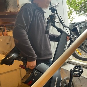 Changzhou Haoling Vehicle Co.Ltd Seagull 20 inch City E-bike Black