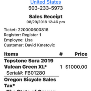 2019 Cannondale Topstone Green