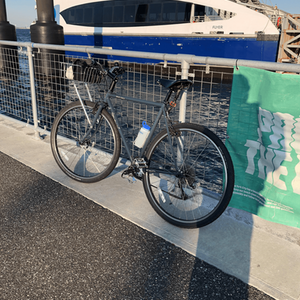 2016 Surly Cross Check Silver, gray or bare metal and Green