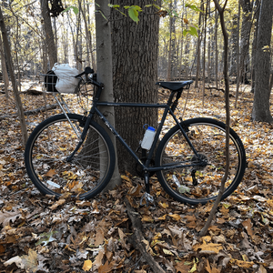 2016 Surly Cross Check Silver, gray or bare metal and Green