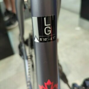 2024 Diamondback Hawrelak 700C Bike Silver, gray or bare metal