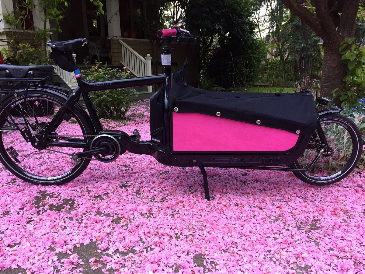 burley bike carrier