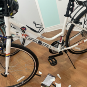 Garneau Vista Step White