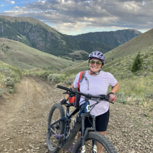 SCOTT SCO Bike Genius eRide 920 INT Blue