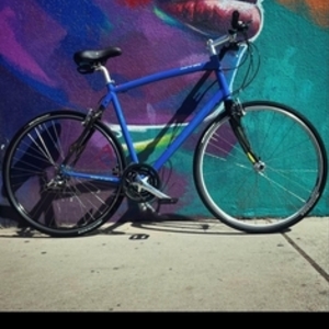 Sirrus Specialized Hybrid Sport Blue