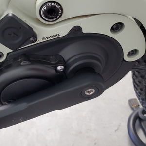 2021 Giant Stance E+1 Green