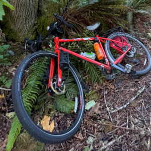 2020 Salsa Vaya GRX 600 Orange