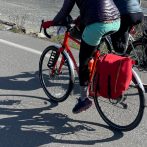 2020 Salsa Vaya GRX 600 Orange