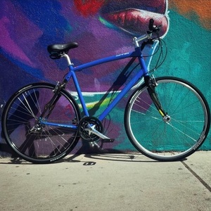 Sirrus Specialized Hybrid Sport Blue