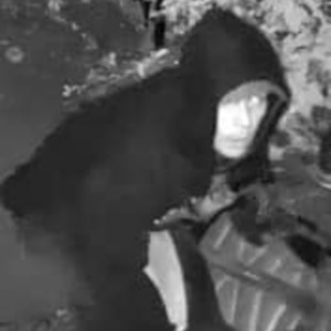 2024 Lectric eBikes XP Trike 1.0 tricycle Silver, gray or bare metal