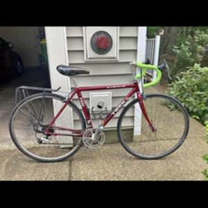 Trek 1100 Red
