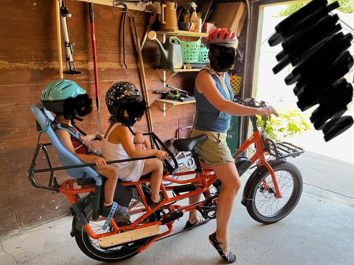 Cargo Bike Rear photo