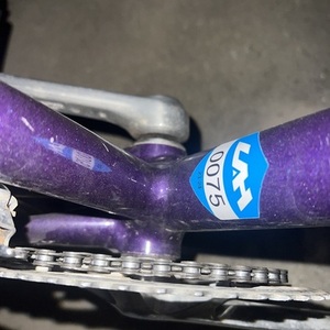 1994 Cannondale R300 Purple and Blue