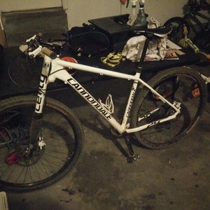 Cannondale Flash 29'er 1 White