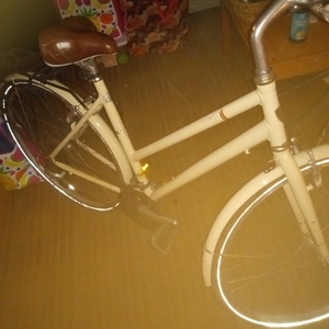 Trek Allant Brown