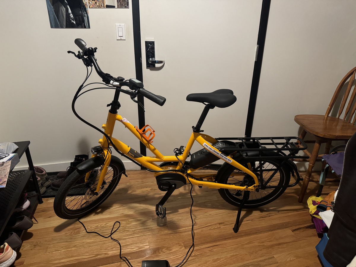 Cargo Bike Rear photo