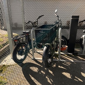 2021 Rad Power Bikes Step Through Green