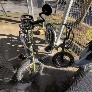 2021 Rad Power Bikes Step Through Green