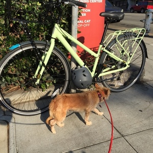 2016 Jamis Commuter 2 Green