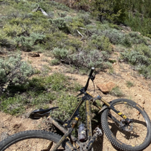 2018 Intense Primer Bandit Edition Black