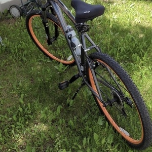 Mongoose Steel Orange and Silver, gray or bare metal